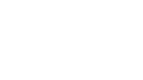 Castrol-500