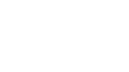 Quad-Lock-500